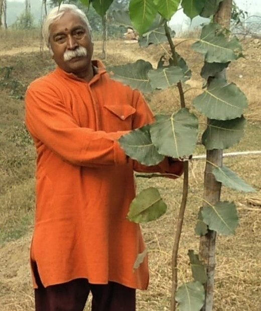 पितृ पक्ष में तर्पण और वृक्षारोपण से मिलता है पितरों का आशीर्वाद : राम बिलास शाण्डिल्य
